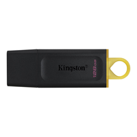 Kingston USB3 G1 DTE Flash Drive